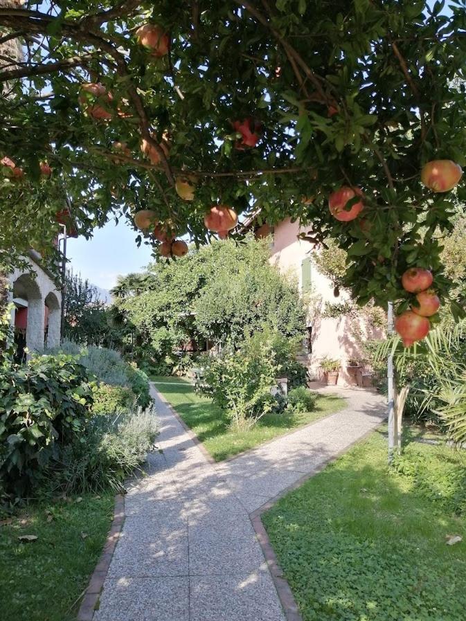 Al Rustico Otel Torbole Sul Garda Dış mekan fotoğraf